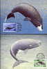 WWF BALEINES MAMMIFERES MARINS 4 CARTES MAXIMUMS DIFFERENTES  DES ILES FEROE   1990 - Whales