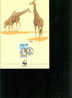 WWF ANIMAUX GIRAFES   DOCUMENT EMIS PAR LE KENYA EN 1989 - Giraffen