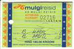 ESTONIA - VILJANDI " Mulgi Reisid " Bus Month Ticket 2006 - Europa