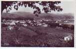 Vue Generale Et L'Avenue D'Espagne - Ceret