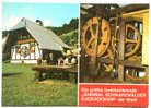 Größte Funktionierende Schwarzwälder Kuckucksuhr ... - Ansichtskarte (d 1001) - Other & Unclassified