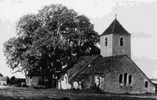 1577.- Ancy-le-Franc - L´Eglise De Chassignelle - Ancy Le Franc