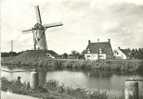 Damme  -  De Molen - Damme