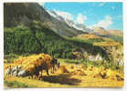 D 2604 - L'Oisans. Entre Grenoble Et Briancon ... - CAk Von 1962 - Bourg-d'Oisans