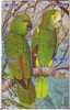 PARROT Nice Chinese PUZZLE SET OF 4. CARDS With Parrots * Perroquet Papagei Pappagallo Loro Ara Papagaio Bird Oiseau - Parrots