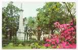 D 2814 - Pulaski Monument, Monterey Square, Savannah, Georgia - CAk - Savannah