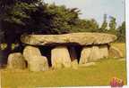 CPM 85 Le Bernard Longeville " Le Carnac Vendéen" Dolmen De La Frébouchère Vue Extérieure - Dolmen & Menhirs