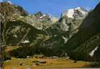 CARTE POSTALE DE PRALOGNAN LA VANOISE - SAVOIE - Pralognan-la-Vanoise