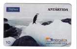 Penguin - Manchot - Pingouin - Penguins - Pingouins - Manchots -pinguin-pinguine- Polar - Polaire  Brasil Rare 20.000 Ex - Pinguins