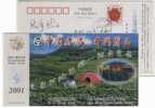 China 2001 Mt.Jinggang Green Tea Advertising Pre-stamped Card Umbella Nature‘s Goods - Autres & Non Classés