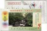 China 2005 Jian City Water Resources Bureau Advertising Pre-stamped Card Forest Steam Creek Waterfall - Water