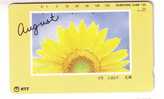 SUNFLOWER ( Japan ) - Tournesol - Soleil - Girasol - Girasole - Sonnenblume - Sunflowers - Tournesols - Flowers