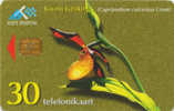 Estonia-The Lady`s-Slipper Orchid- 30 Kroon-1998 Y - Flowers