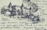 Canton De Vaud - CHATEAU DE GRANDSON EN 1900 - Illustré Par MELTZER - Grandson