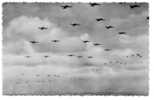 1309 - Avions De Le Royal Air Force Arrivant Au Front - 1939-1945: 2nd War