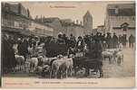 CPA 31 SAINT GAUDENS - Place Du Marché Aux Moutons - Saint Gaudens
