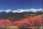 China(Chine) Peak - Meili Snow Mountain's Peaks, Mt.Kawagebo(6740M), Mt.Miancimu(6054M), Etc. - A - Sonstige & Ohne Zuordnung