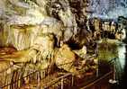 CARTE POSTALE DE BAUME LES MESSIEURS - GROTTES - Baume-les-Messieurs