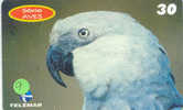 PERROQUET Parrot PAPAGEI Papagaai Telecarte (9) - Perroquets