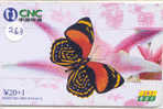 PAPILLON Butterfly SCHMETTERLING VlinderTelecarte (263) - Schmetterlinge