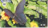 PAPILLON Butterfly SCHMETTERLING VlinderTelecarte (292) - Schmetterlinge