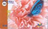 PAPILLON Butterfly SCHMETTERLING VlinderTelecarte (294) - Schmetterlinge