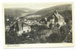 D 3341 - Blick Auf Gottleuba - S/w Foto Ak, Ca. 1951 Gel. (Karte Ist Wohl älter) - Bad Gottleuba-Berggiesshuebel