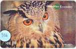 HIBOU EULE OWL UIL BUHO GUFO Telecarte (336) - Eagles & Birds Of Prey