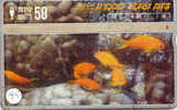 POISSONS FISCHE FISH VIS Telecarte (95) - Poissons