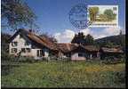 Liechtenstein Lot 3 CM 1er Jour FDC Vues Villageoises Ruggell Nendeln Triesen - Maisons Typiques - Cartoline Maximum