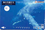 BALEINE WAL WHALE WALVIS BALLENA Carte (38) - Peces