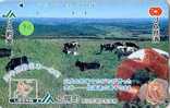 VACHE KUH COW KOE VACA MUCCA Telecarte (79) - Kühe