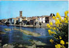 Carte Postale De Rivesaltes  Ville Du Muscat Vieux Quartiers Le Long De L'agly - Rivesaltes