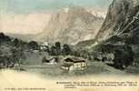 SUISSE . GRINDELWALD . SEJOUR D´ ETE ET D´ HIVER . CENTRE D´ EXCURSIONS POUR L´ EIGER , LE MAGNIFIQUE WETTERHORN - Grindelwald