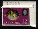 BARBADOS   Scott   #  274**   VF MINT NH - Barbados (...-1966)