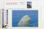 China 2005 Penglai Ocean Aquarium World Postal Stationery Card Arctic Beluga Whale - Whales