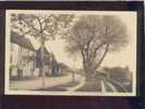 010542 Gourdon Les Promenades De L'arbre Rond édit.artaud N°13 Belle Carte - Gourdon