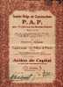 BRUXELLES "Soc. Belge De Construction P.A.P. Pour L´exploitation Des Procédés Pauchot SA" - Action De Capital - Industrie