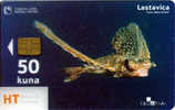 TRANSPARENT Card LASTAVICA ( Croatia ) - Undersea - Underwater - Fish - Poisson - Fisch - Pez - Pesci (transparente Card - Croatia