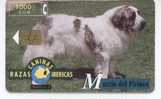 Espana. Spain. Razas Caninas Ibericas. Mastin Del Pirineo. Chien. Dog. - Dogs