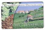 VINO  ( Germany Rare Card ) - Vin - Wein - Wine  * - Grape - Grapes - De Raisin - Wineyards - SAALE = UNSTRUT - Alimentation