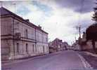 B - 49 - ALLONNES - RARE PHOTO Et UNIQUE - N° 132.79 - Rue Principale - Allonnes