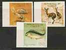 FAUNA - FIDDER CRAB , KLIPSPRINGERS, DOLPHINFISH DE LUXE IMPERFORATE PROOFS DJIBOUTI MINT (NH) - Schalentiere