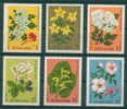 3018 Bulgaria 1981 Flora Medicinal Herbs MNH /Weissdorn Johanniskraut Schwarzer Holunder Brombeere Silberli/Heilpflanzen - Groenten