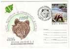 ROMANIA COVER WITH CANCELL OURS BEAR URSUS ARCTOS 1995. - Ours