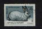 BULGARIE ° 1985 N° 2993 YT ANIMAUX LAPINS - Gebraucht