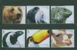 SPE0135 Specimen Zoo Ours Singe Tamarin Iguane Manchot Toucan Girafe 2502 à 2507 Portugal 2001 Neuf ** - Unused Stamps