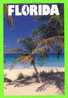 FLORIDA - TROPICAL BREEZE - SUN COAST POST CARDS - - Miami Beach