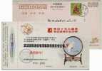 White Parrot On Embroider Handcraft,China 1998 Wuhan Zhouji Communication Company Advertising Postal Stationery Card - Perroquets & Tropicaux