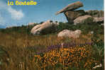 CARTE POSTALE DE PLOUMANACH - COTES D ARMOR - LE ROCHER DE LA BOUTEILLE - Dolmen & Menhirs